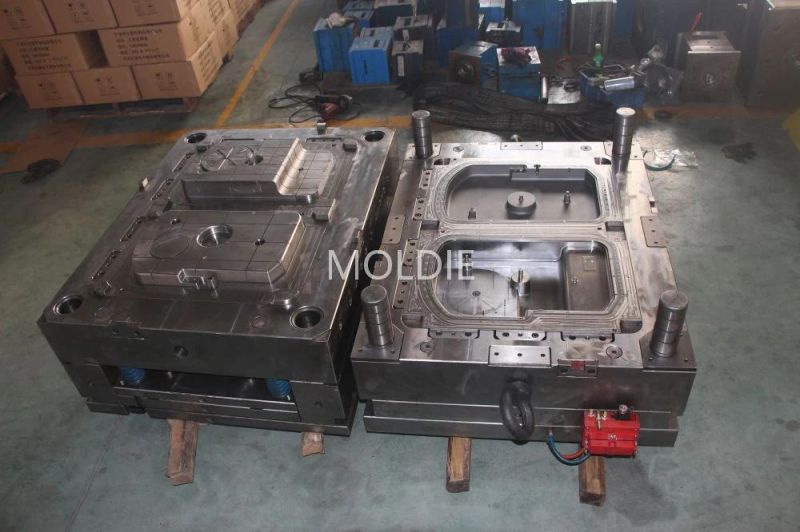 Customized/Designing Auto Parts Light Cover Plastic Injection Mould