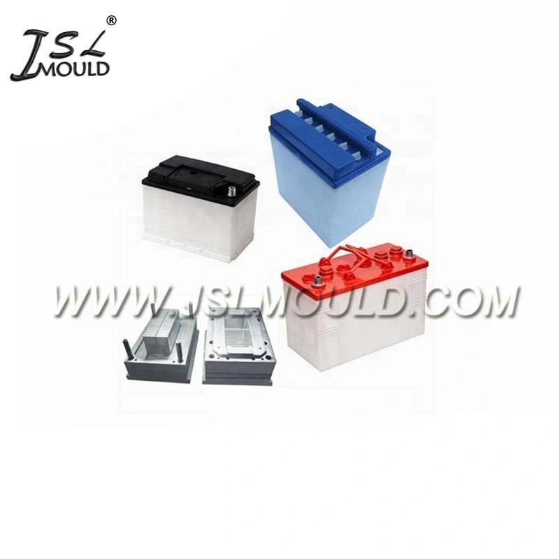 OEM Rich Experienced Injection Car Battery Container Mould