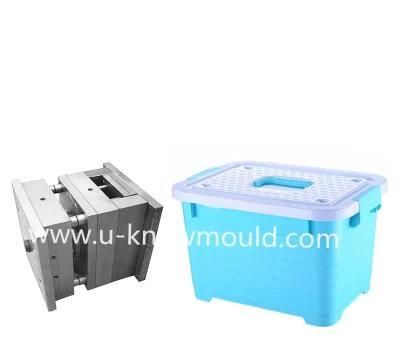 Hot Sale High Quality Taizhou Storage Box Mould Container Mold