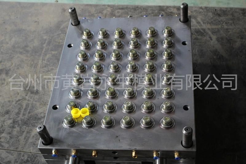 48 Cavities Hot Runner Plastic Injection Cap Mould