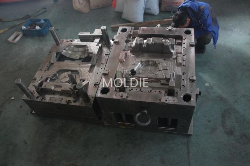 Customized/Designing Plastic Injection Mould with Cover