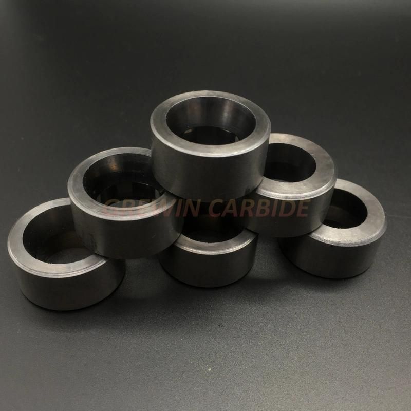 Gw Carbide-Tungsten Carbide Wire Guiding Dies with Steel Case