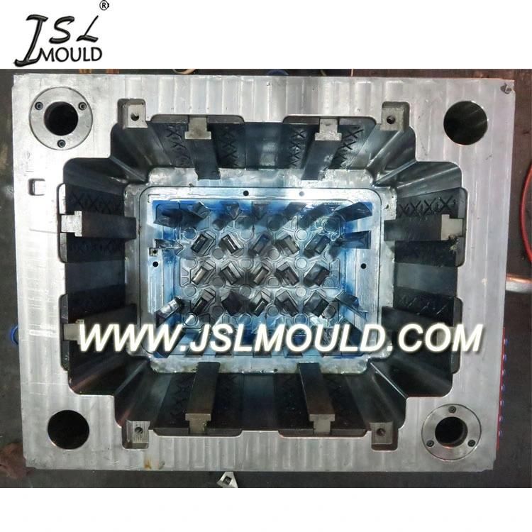 Custom Made Plastic Injection Mold for Beer Crate