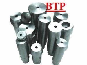 Tungsten&Alloy Punch Die (BTP-P129)