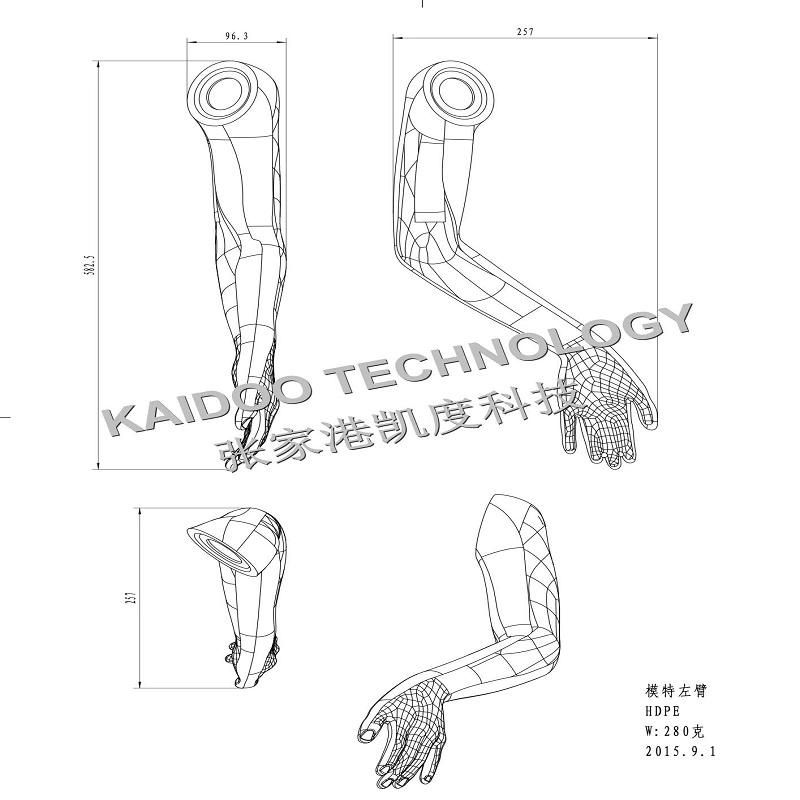 Plastic Model /Plastic Mannequin Blow Mould/Blow Mold