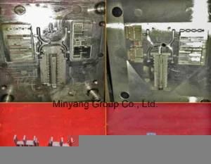 Competive Mould Manufacturer for Injection Mould, Car Parts (006)