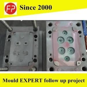Plastic Mould for Plastic Gear