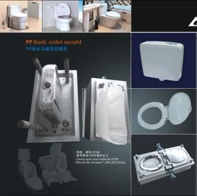 Plastic Flush Toilet Mould
