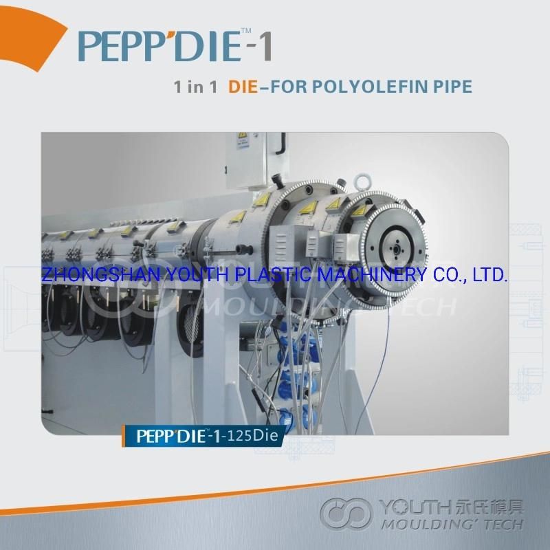 HDPE/PVC Pipe Extrusion Mould/Die Head/Pipe Mould