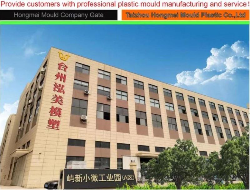 OEM Delicate & High Quality Injection Plastic Injection Mould for Folding Shopping Box