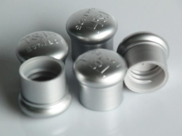 Professional High Quality Cap Mold Maker From Gangdong China