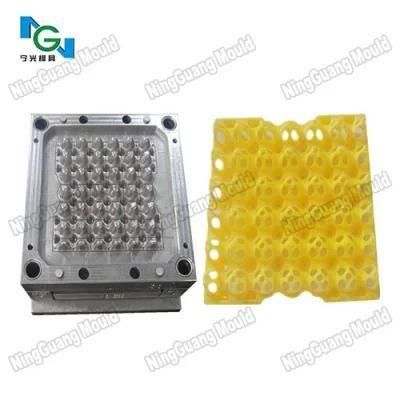 Plastic Injection Mould for Egg Plastic Trays