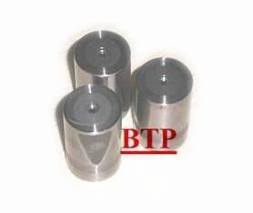 Castomer Design Cold Forging Tool Screw Mould (BTP-D392)