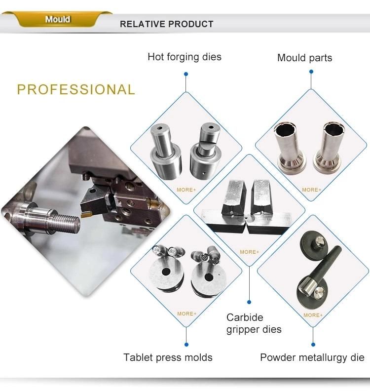 Irregular Stamp Die Shaped Pill Mold for Zp Series Machine