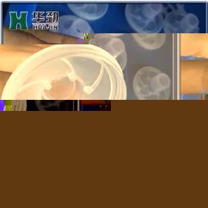 PPR Transparent Cold Runner Medical Plastic Injection Molding