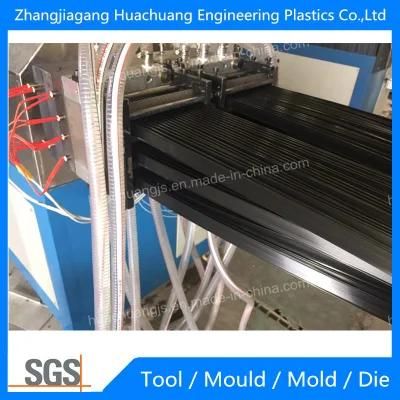 PA Plastic Door Board Extrusion Mold/ Die