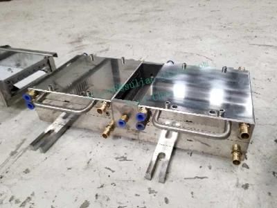 Hot Sale Wood Plastic Floor Extrusion Mould