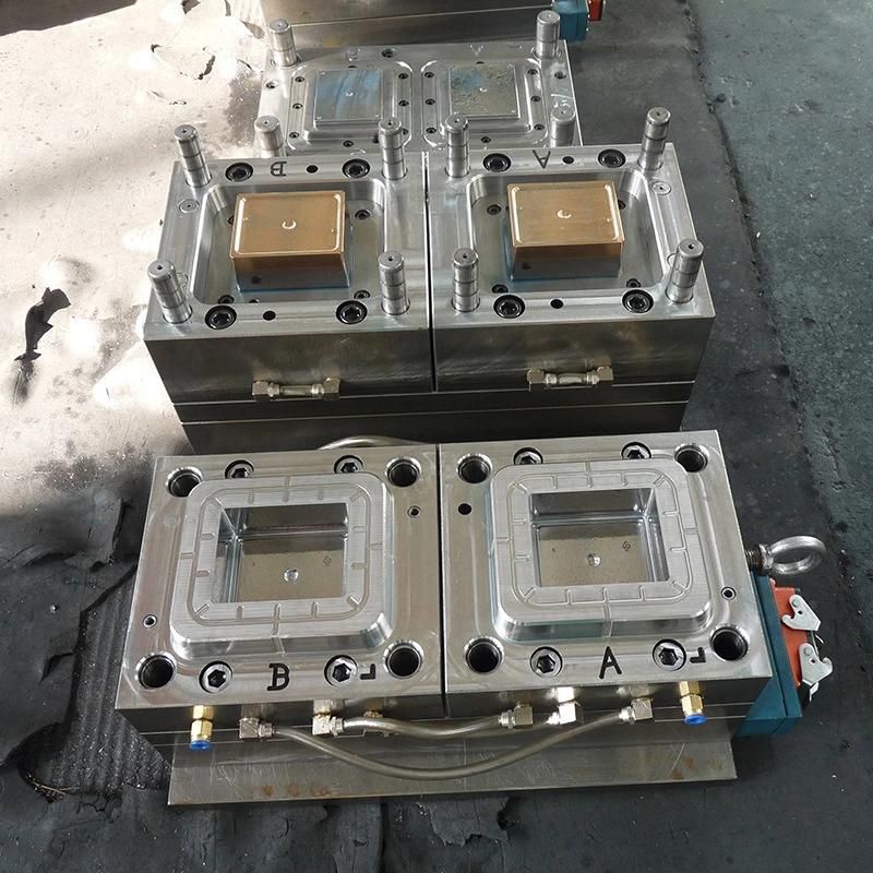 Double Injection Mold for Auto Parts