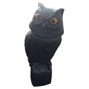 Owl of Blow Molding Plastic Product
