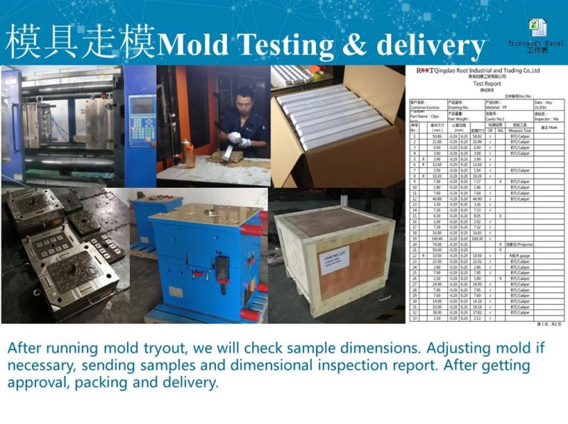 Plastic Injection Mold for Moulding