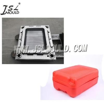 Taizhou Professional Plastic Luggage Case Mould