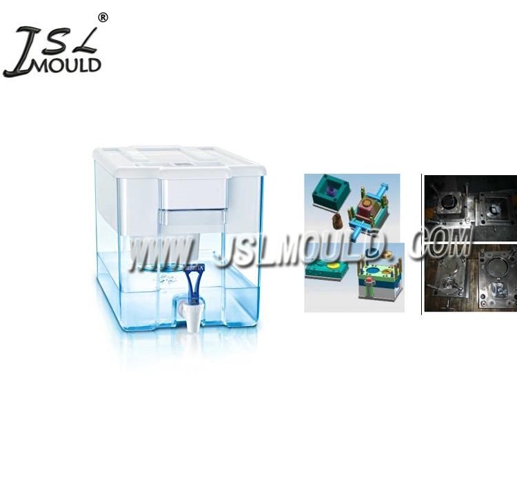 Experienced in Making Plastic Water Filter Pitcher Mold
