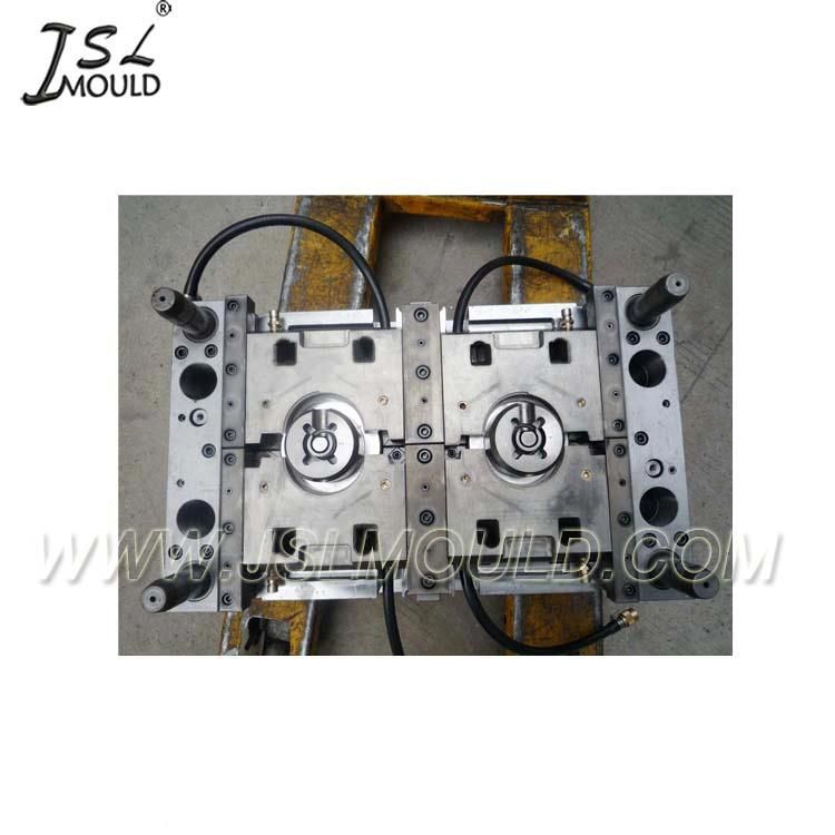 Professional Plastic Water Filter Housing Mold