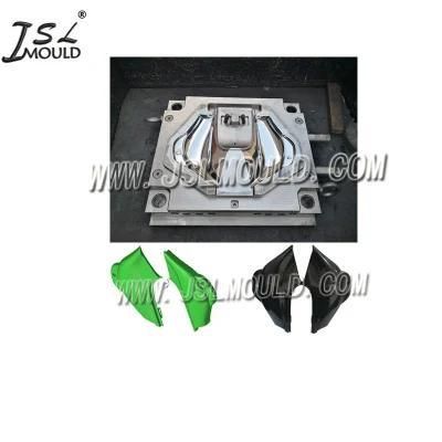 High Quality Experienced Making Plastic Bike Side Cover Mold