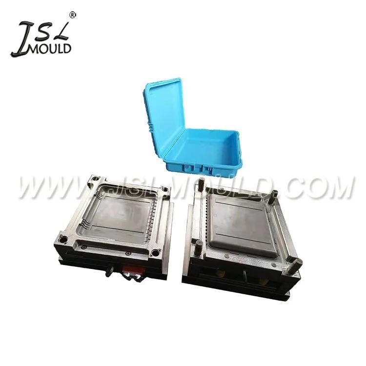 Taizhou Mould Factory Customized Injection Plastic Tool Box Mould