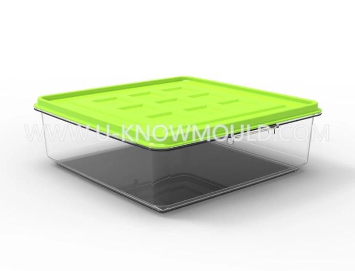 Plastic PP Sealed Fresh Food Container Box Injection Mould Plastic Lunch Storage Mold