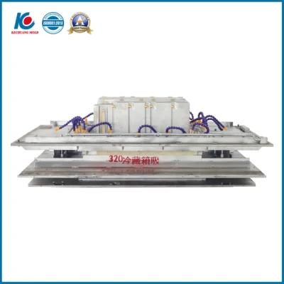 Plastic Mold for Refrigerator Cabinet Liner Vacuum Forming