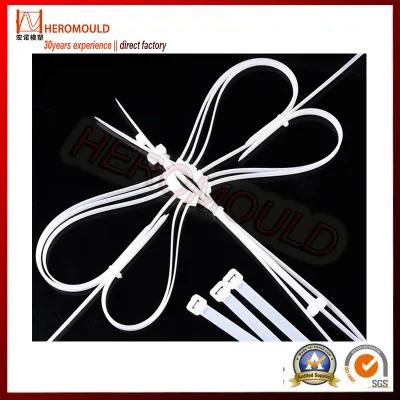 Plastic Nylon Cable Tie Mould From Heromould