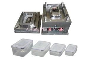 Plastic Injection Crisper Mould-1