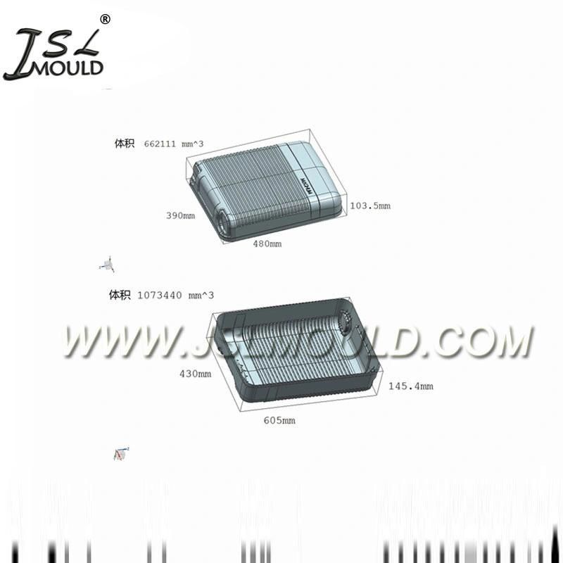 Taizhou Professional Plastic Luggage Case Mould