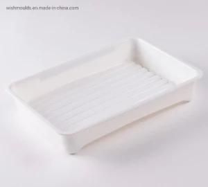 PP Plastic Tray and Molding, Plastic Injection Mould Manufacturer