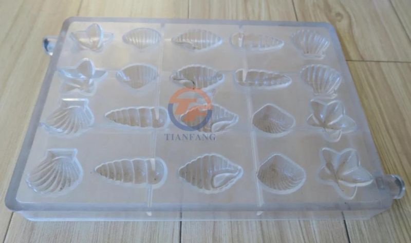 Chocolate Mould (Sea Shell)