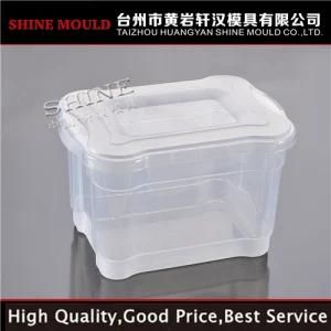 China Shine Plastic Injection Mould Transparent Box