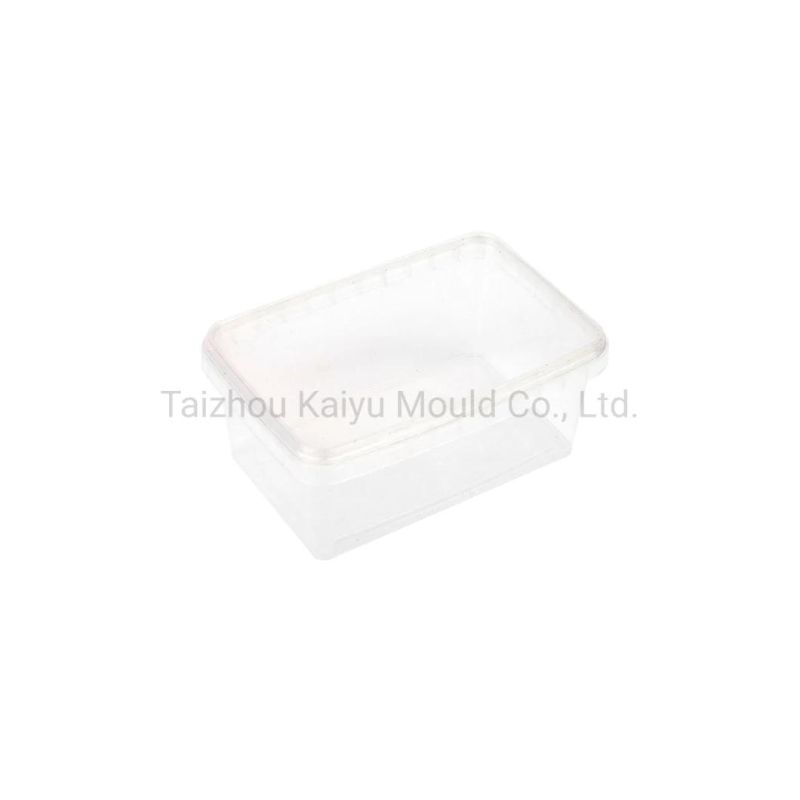 Liquid Anti-Leakage Packaging Box Mould Tamper Resistant Container Mold