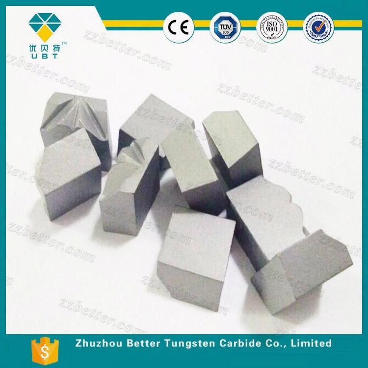 Tungsten Carbide Nail Mould