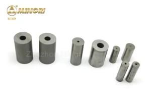 Widia Cemented Carbide Punch Die Casting Mould Stamping Mold
