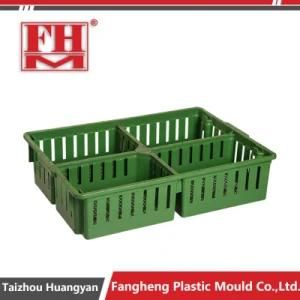 Plastic Injection Chicken Turnover Crate Mould
