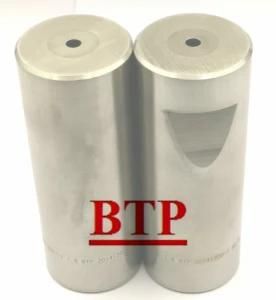 Fasteners&Metal Cold Forging Tooling Punch Die (BTP-P101)