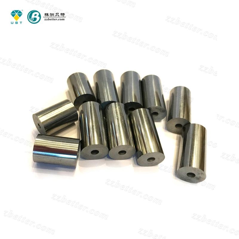 Tungsten Carbide Cold Heading Die for Punching Mould Tool Parts