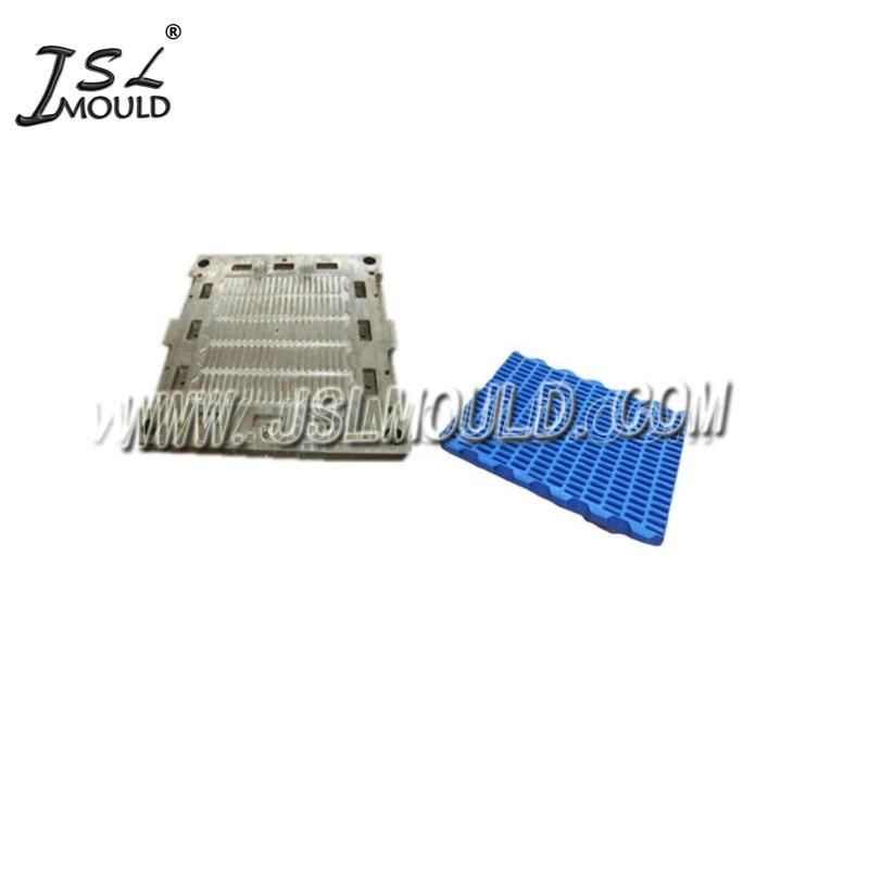 China Professional Quality Plastic Poultry Slatted Floor Mould