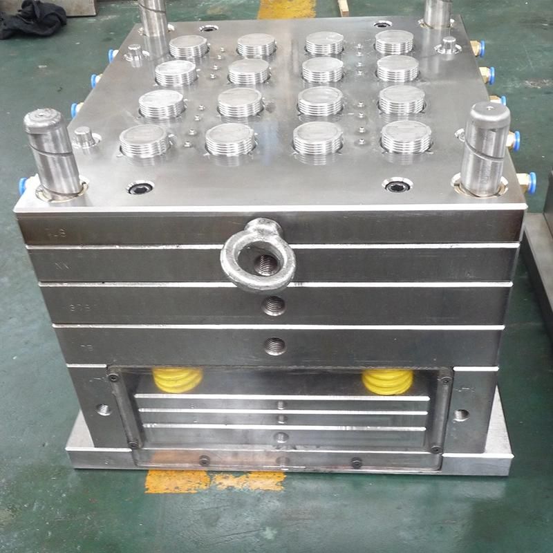 Injection Mold Maker for Auto Car Bumper