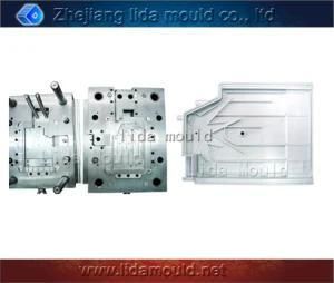 Plastic Mold for Car Door (A31S)