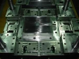 Plastic Injection Mold (PEMOULD010)
