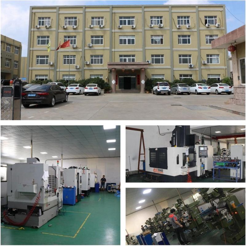 Plastic Mold Factory Stamping Metal Mold Mould Leader