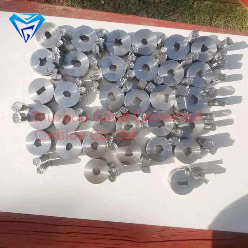 Ccustom Press Die Pill Mold Tdp0