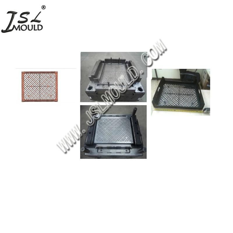 China Professional Quality Plastic Bread Cookie Tray Mould